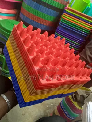 Plastic Eggs Trays 1pc
