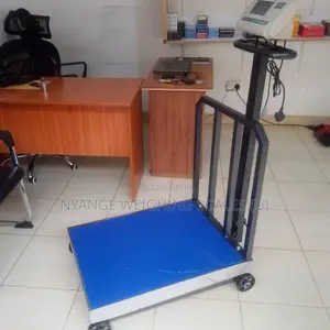 Good Quality Weighing Scale Platform Weigh Digital Weighing Scale700kg