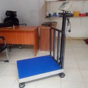 Weighing Balance Weigh Platform Weighing Scale M-Cpty 700kgweigh Scale