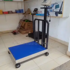 Platform Weigh Scale Industrial Weighing Scales 600kg- 700kg Weigh