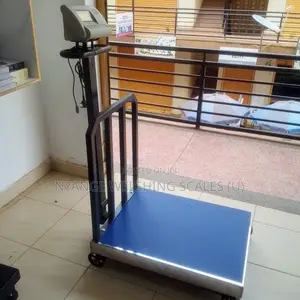 Electronic Weigh Scaies Industrial Platform Weighing Scales