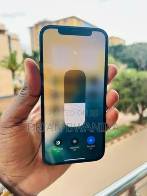 Apple iPhone 12 Pro 256 GB Blue