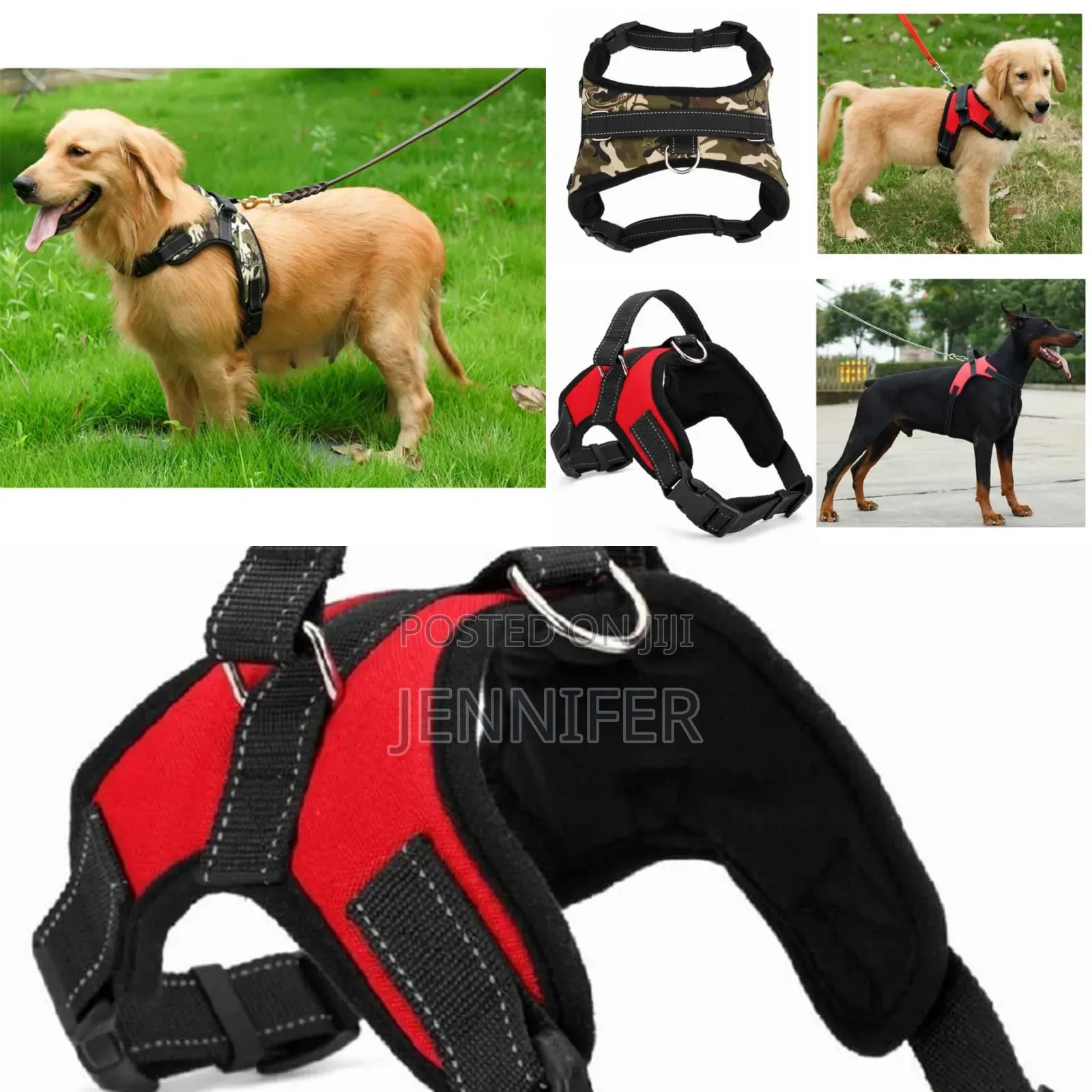 Heavy-Duty Dog Leach With Harness