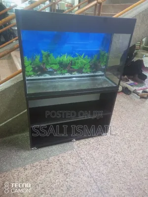 Nice Looking Aquarium.Neat and Strong