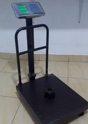 Portable Weigh Scale Platform Digital Electric Weighing Scale 350kg(8)