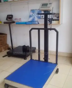 High Accuracy Platform Weighing Scales 700kg Weighing Scale