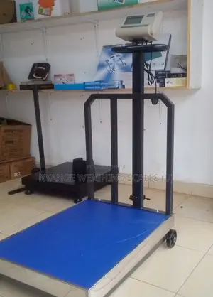 Heavy Duty Platform Weighing Scales 500kg/100g Balance Weighing Scale