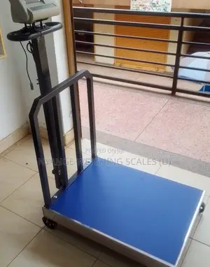 Industry Platform Weighing Scales 500kg/100g Weigh Scales