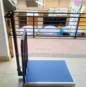 Portable Platform Weigh Scale Digital Weigh Electric Weighing Scales