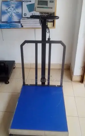 Digital Weighing Scale Bench Type Weigh 700kg Accurate Weighing Scales