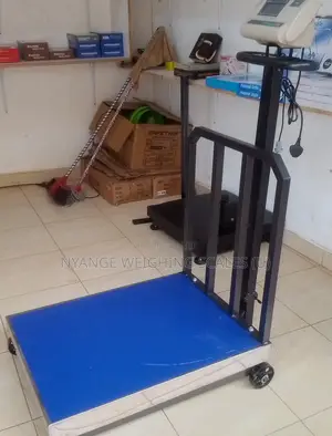 Easy to Use Weigh 700kg Weighing Scale Digital Weighing Scale