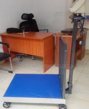 Platform Weigh Scale Industrial Weigh Industrial Weighing Scale 500kg