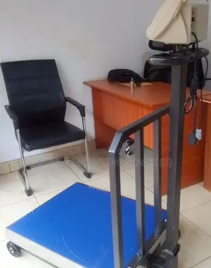 Electronic Platform Weighing Scale 700kg Weigh Digital Weighing Scale