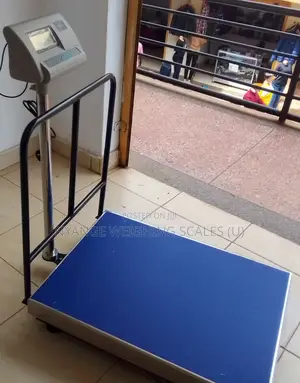 LCD/Led Display Weighing Scale Platform Weigh 500kg Weighing Scales