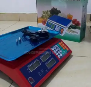 Balance Table Top Weighing Scale 40kg/5g Weigh Scale