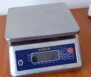 Price Waterproof Weighing Scale 30kg/5g Weighing Scale