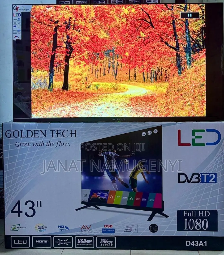 43 Goldentech Digital Tv