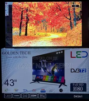 43 Goldentech Digital Tv