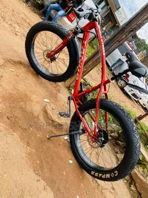 Reef Pro Sports Bike / Bicycle