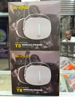 W-King T8 Wireless Speaker