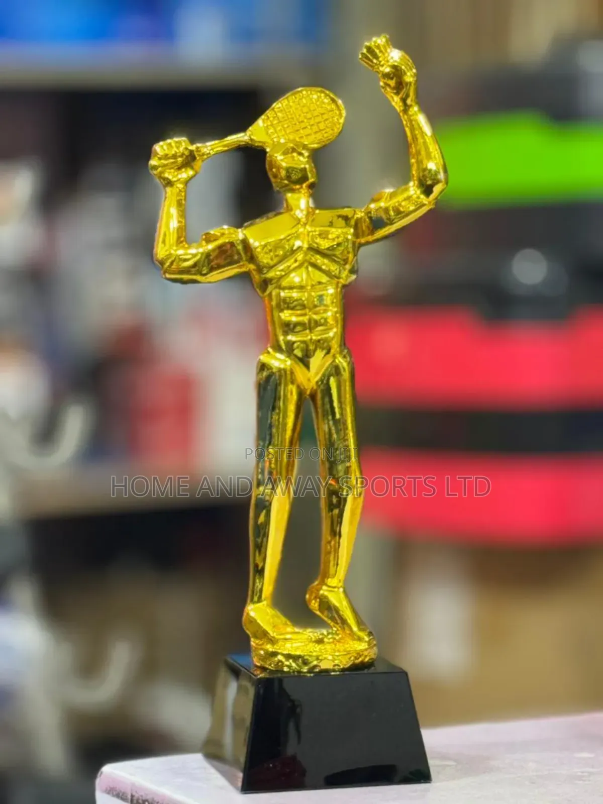 Awards and Accolades