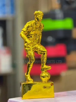 Awards and Accolades