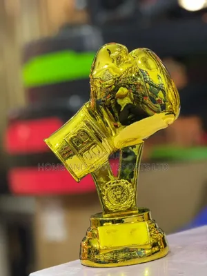 Awards and Accolades