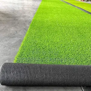 Swimming  Artificial Turf