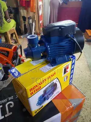 Surface Water Pump Electric