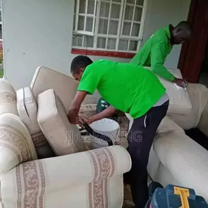 Sofa Cleaning and Fumigation Services