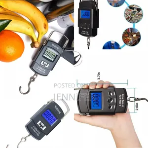 On the Go Portable 50kg Travel Scale