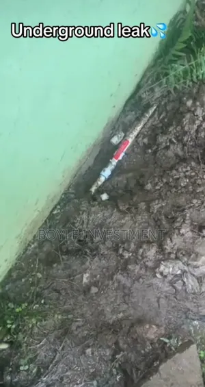 Leakage Detection Services