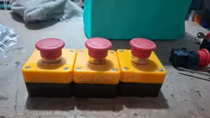 Emergency Switch With Key (Esd) Complete