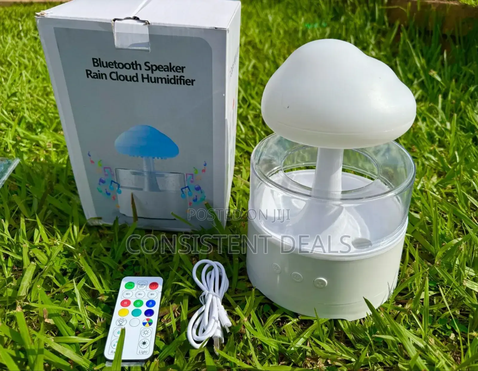 Bluetooth Speaker Rain Cloud Humidifier