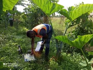 Borehole Survey ( Hydrogeological Surveys)