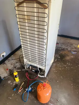 Standard Quality Fridge Repair Service
