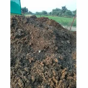 Cow Dung Manures /Animal Manures
