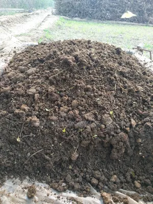 Organic Cow Dung Manures