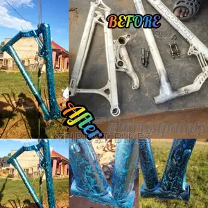 Bike Spraying Customizing