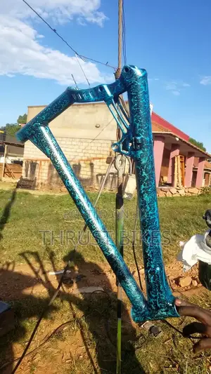 Bike Spraying Customizing