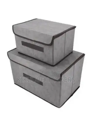 Pack of 2 Foldable Storage Boxes With Lid