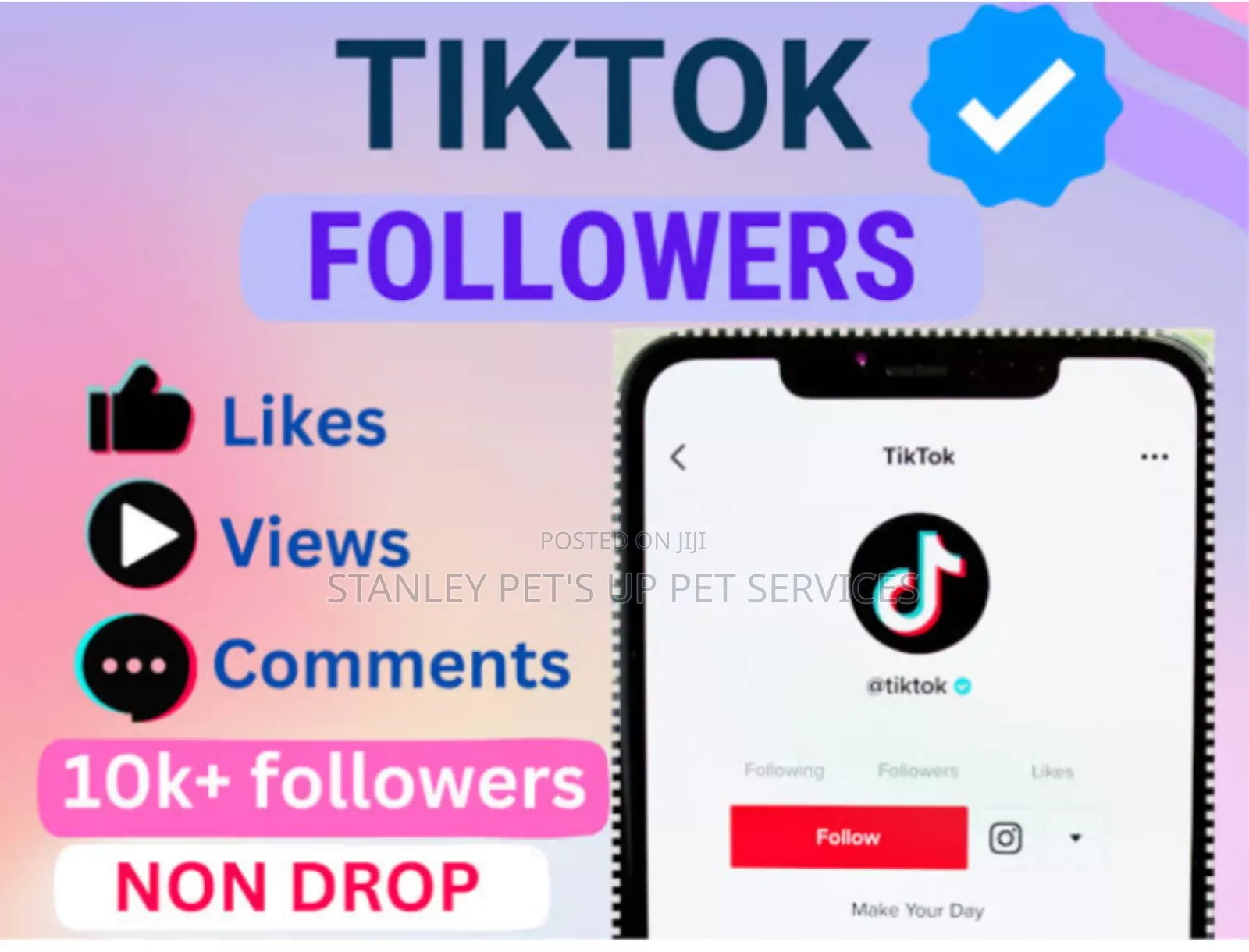 Become Famous on Tiktok