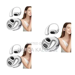 True Wireless Microphone
