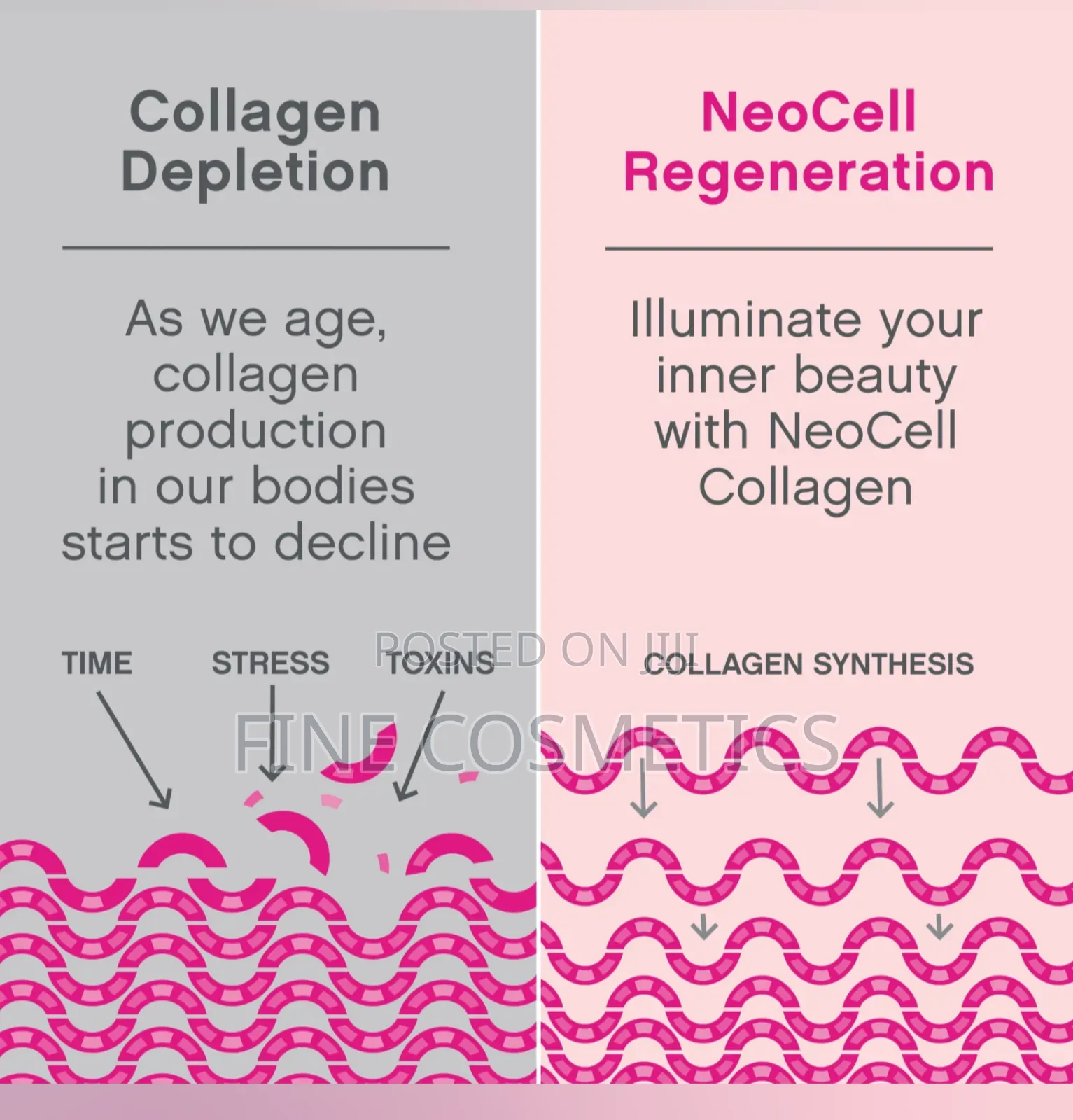 Neocell Super Collagen Biotin Vitamin C Beauty Tablets .250