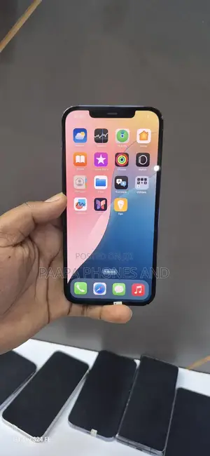 Apple iPhone 12 Pro Max 256 GB Blue