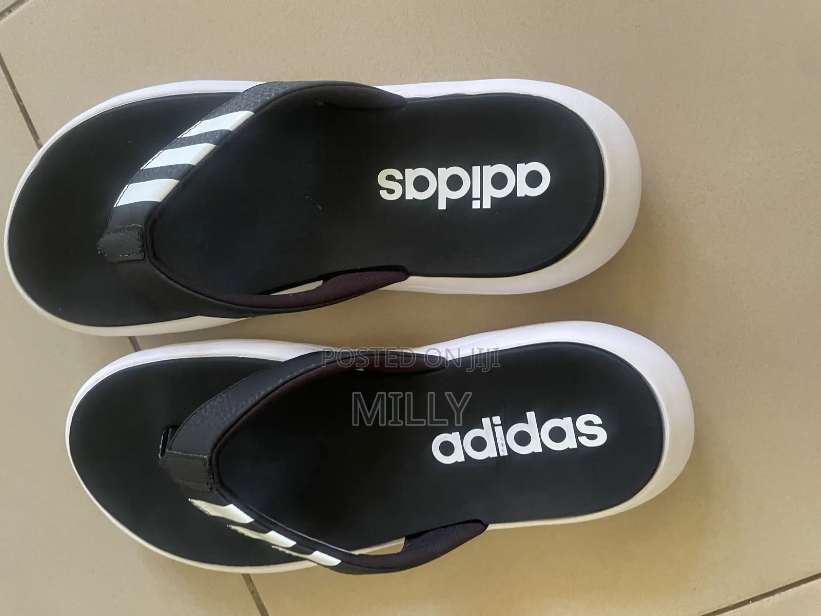 Adidas Shoes