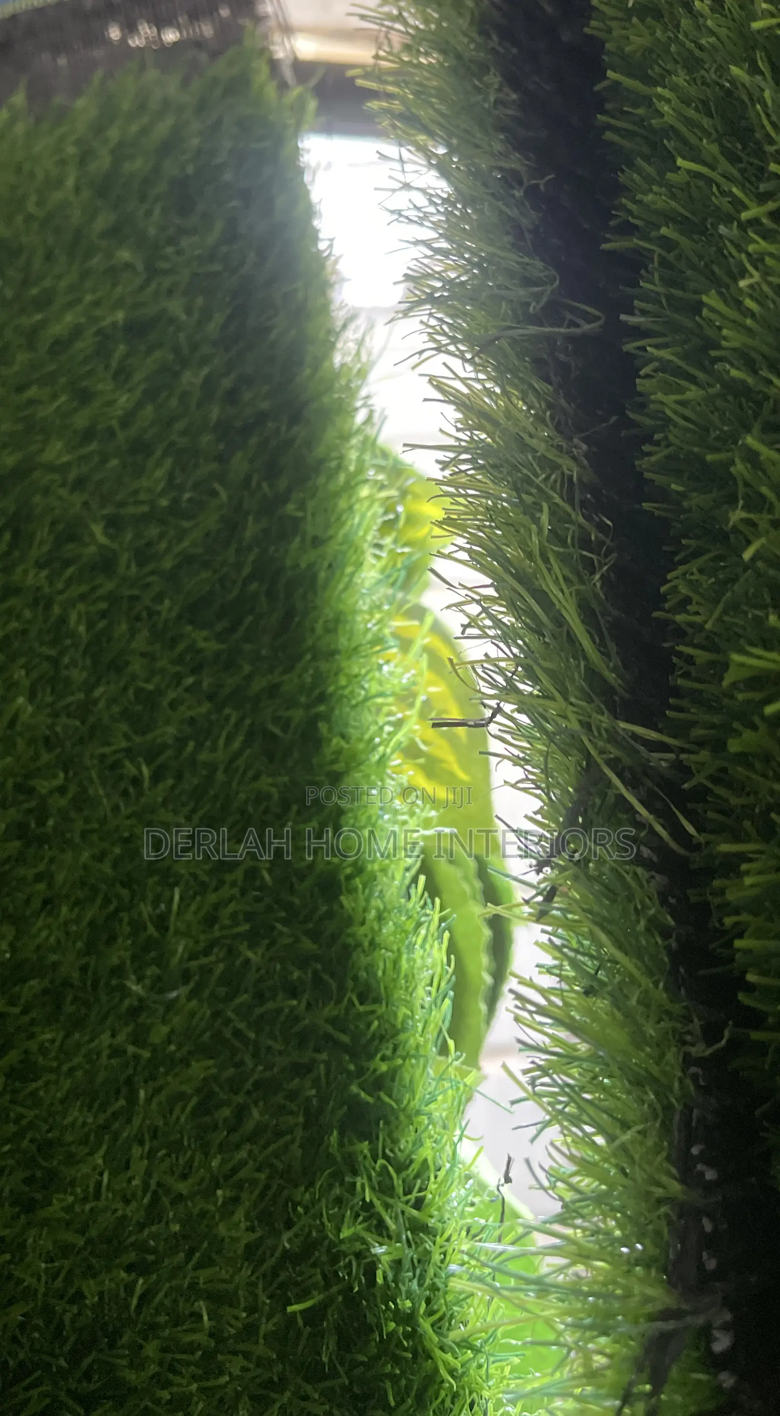 English Grass Carpet