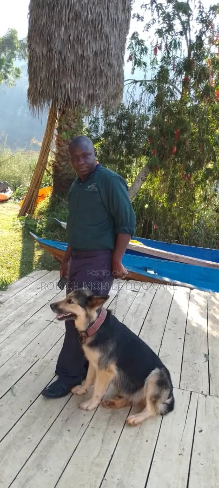 The Dog Expert