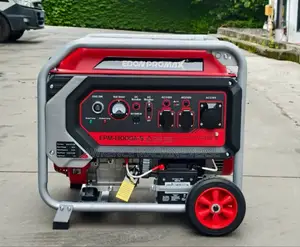 Gasoline Generator Edon Promax 10 Kva