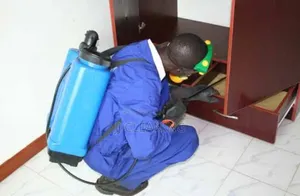Fumigation Services